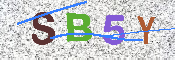 CAPTCHA Image
