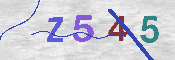 CAPTCHA Image